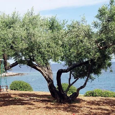 Braco Caratan Appartement