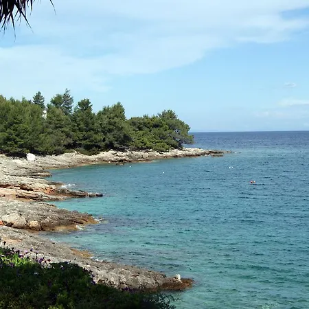 Appartement Braco Caratan *