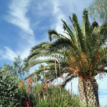 Braco Caratan * Zavala