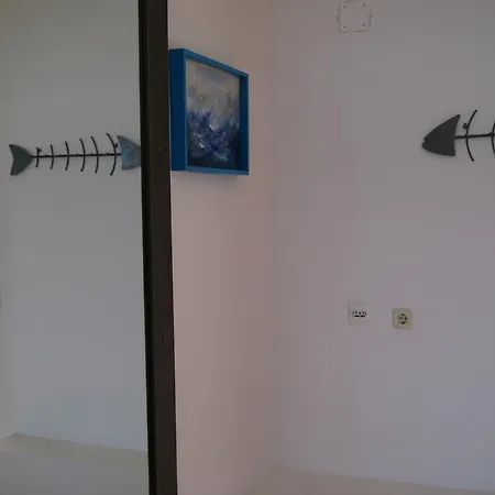 Braco Caratan Zavala