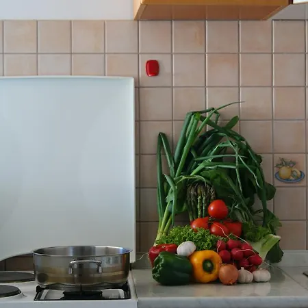 Braco Caratan Zavala