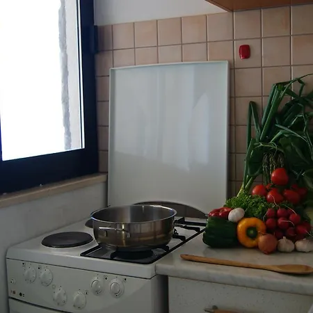 Braco Caratan Zavala