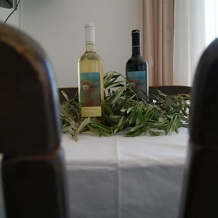 Braco Caratan * Zavala